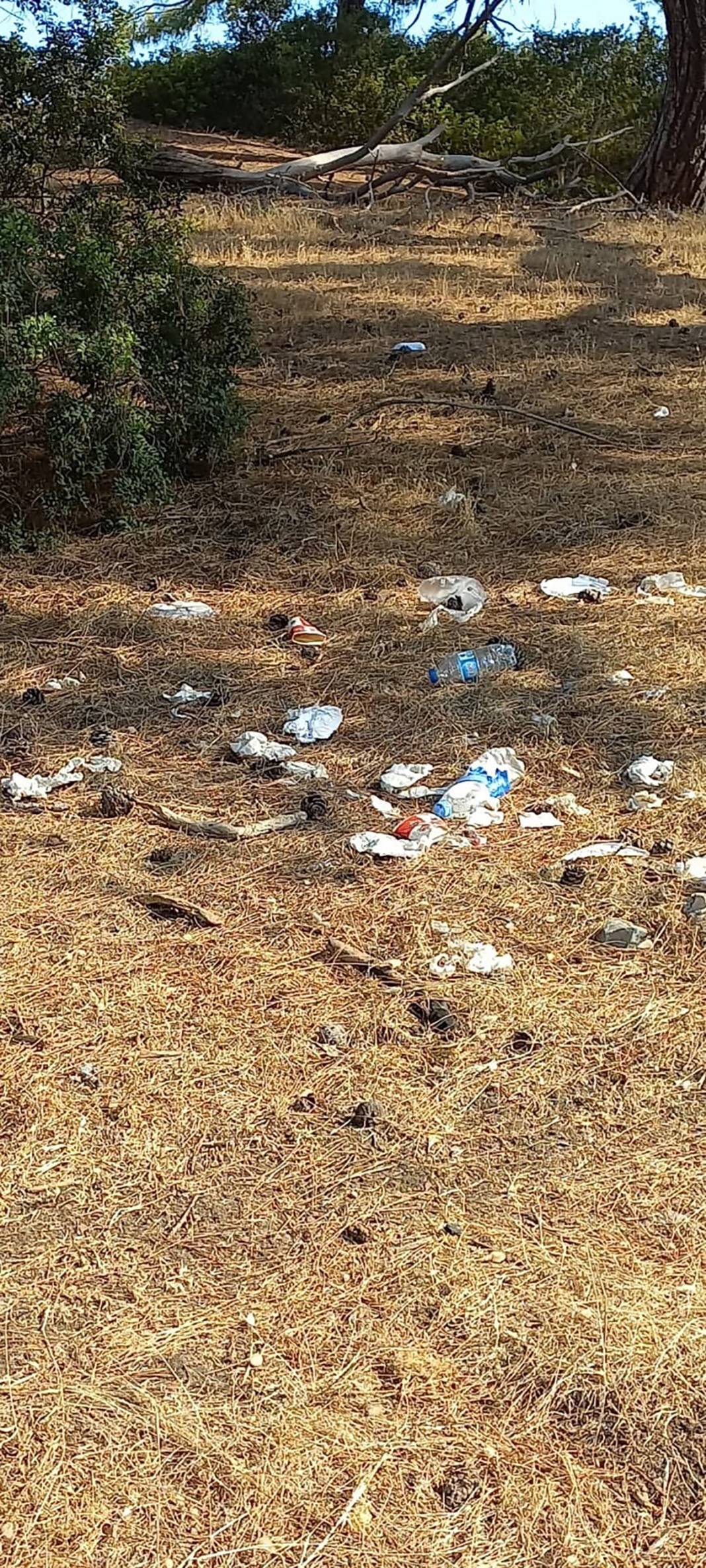 Dünyaca ünlü Phaselis'te rezalet görüntü: Medeniyetten uzaklaşmış insanların eseri 2